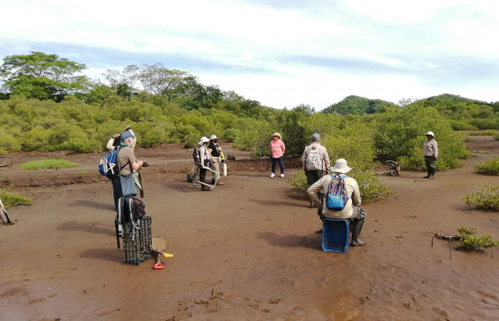 Recibiendo las indicaciones para iniciar la labor de siembra de árboles de mangle. Aquí a cada quien se le asigna una función.