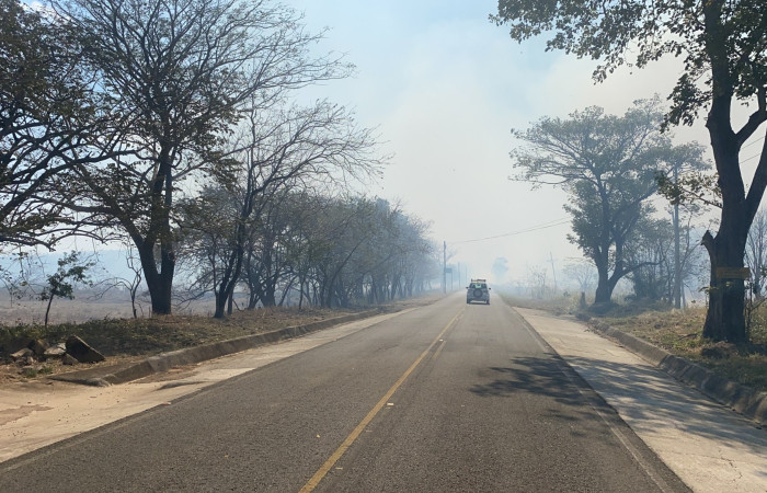 Febrero 2021  Foto: Didi Guadamuz