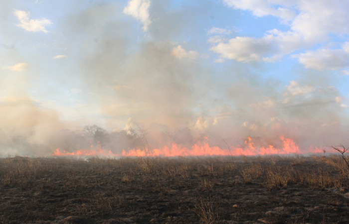 Abril 2021  Foto:Melissa Espinoza