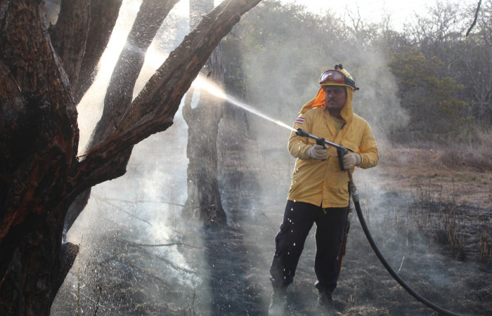 Abril 2021  Foto:Melissa Espinoza