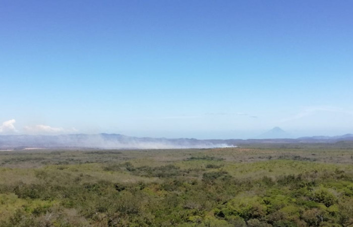 Sector Pocosol, Sitio X Punto  4 marzo 2021  Foto: PMF