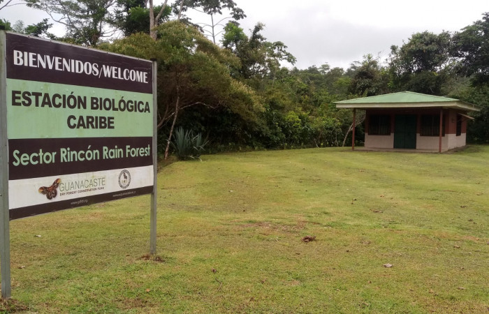 Figura 1. Aula del Programa de Educación Biológica, en Estación Biológica Caribe. Foto, Pablo Umaña el día 22 de Abril del 2021. 