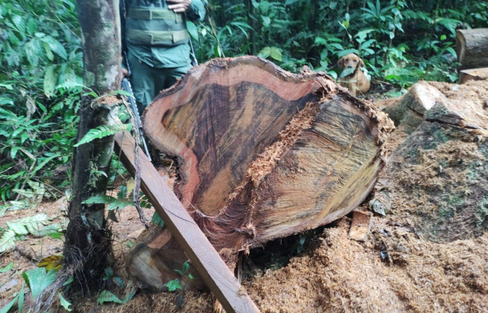Santa Cecilia La Cruz Guanacaste, 4 de octubre 2021, Foto: (BCAF.PSA)