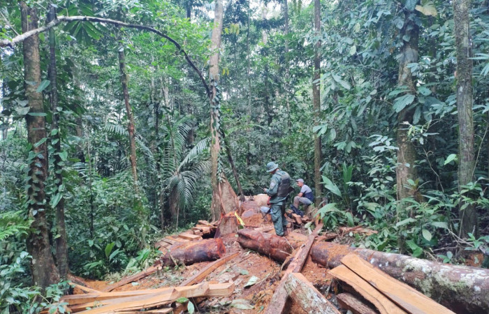 Santa Cecilia La Cruz Guanacaste, 4 de octubre 2021, Foto: (BCAF.PSA)
