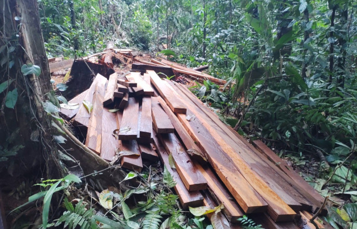 Santa Cecilia La Cruz Guanacaste, 4 de octubre 2021, Foto: (BCAF.PSA)