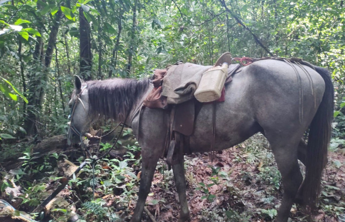 Santa Cecilia La Cruz Guanacaste, 4 de octubre 2021, Foto: (BCAF.PSA)