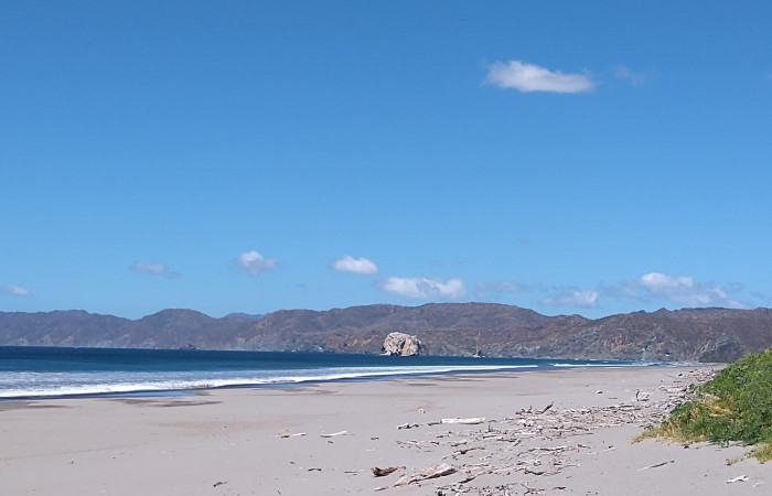 Foto: Programa de Ecoturismo  2021