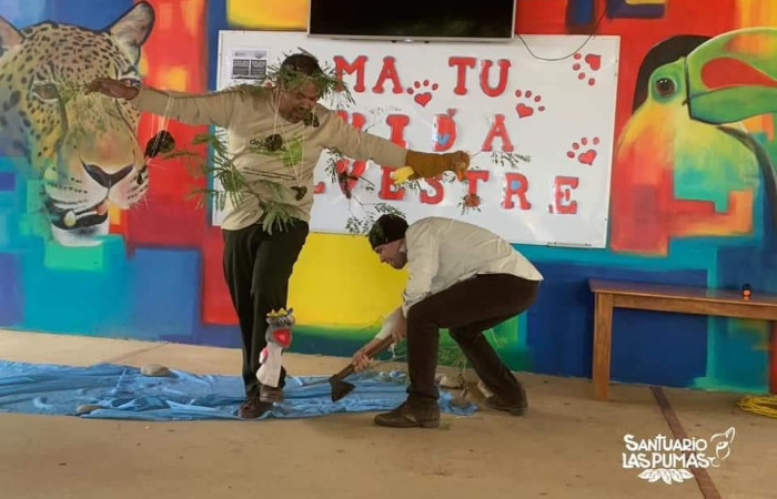 El árbol papá fue cortado de manera clandestina.