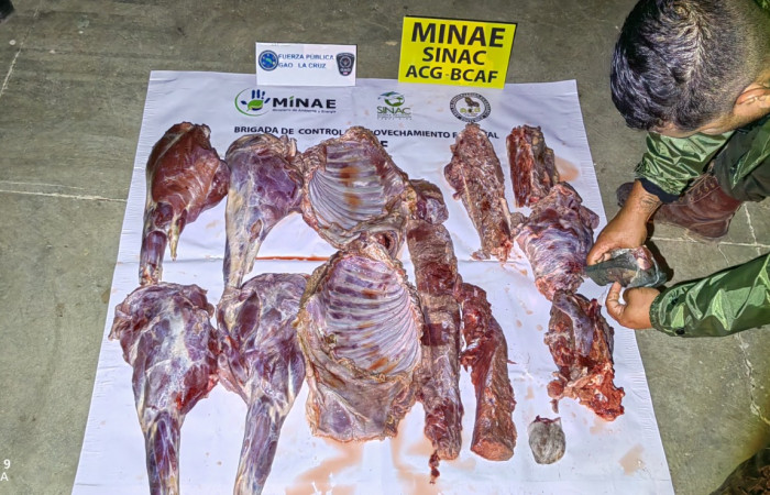 El Fósforo de Guardia de Liberia, Guanacaste  21 de marzo 2022  Foto: BCAF.PSA